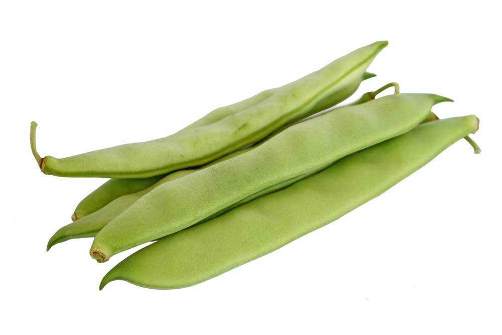 picture of runner-bean