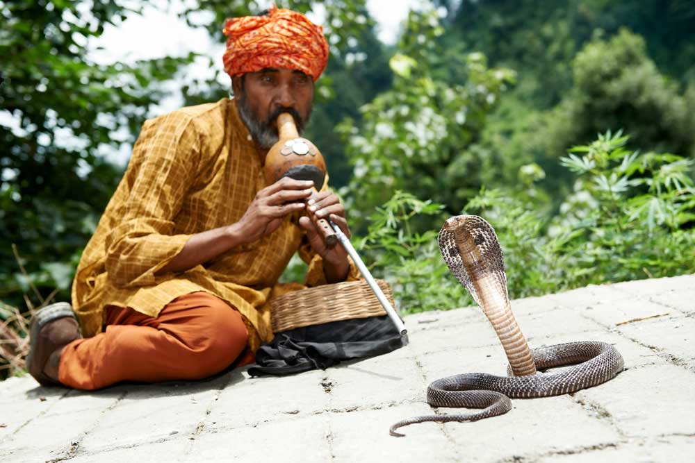 picture of snake charmer