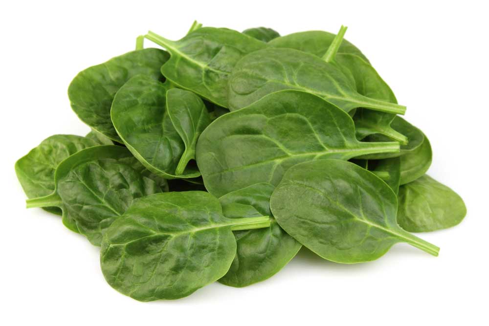 picture of spinach