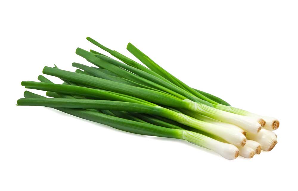 picture of spring onion