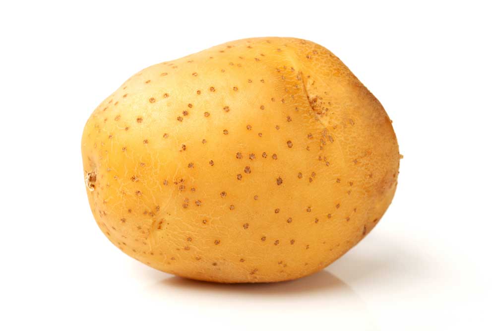 picture of spud