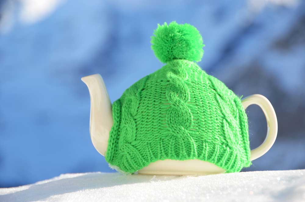 picture of tea cosy