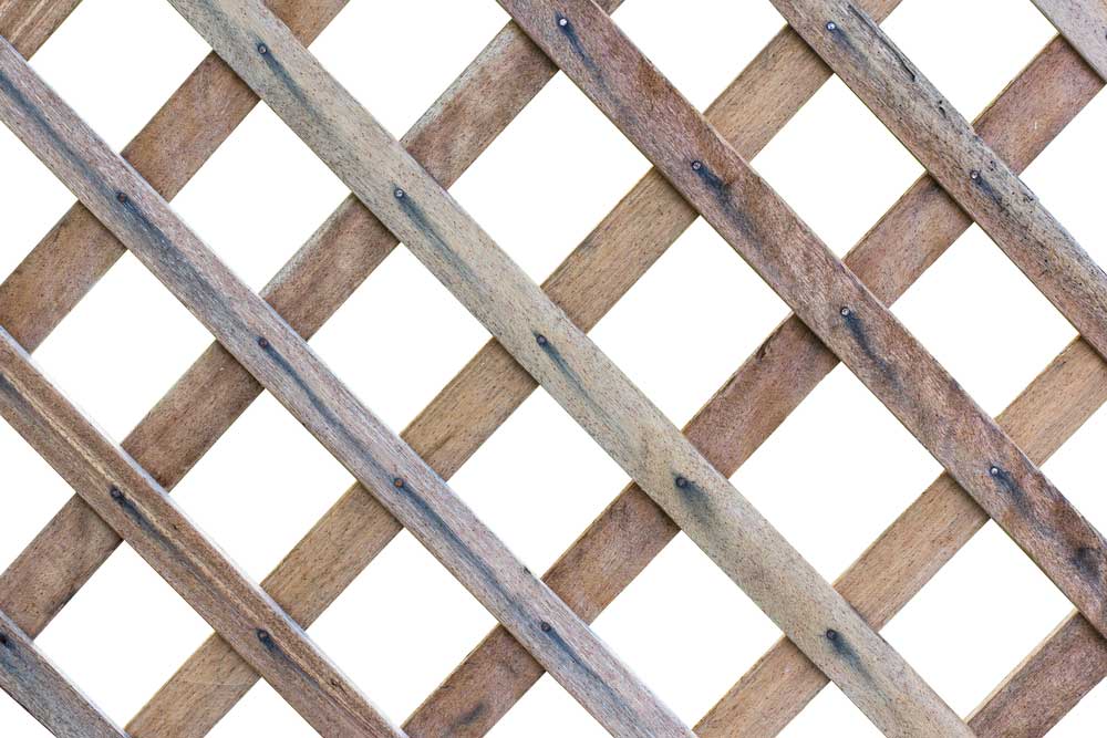 picture of trellis