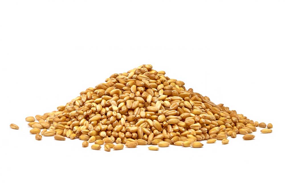 picture of wholegrains